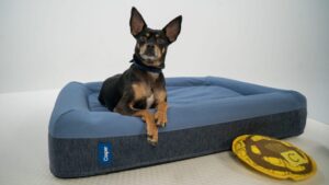 product image of the Casper Dog Bed