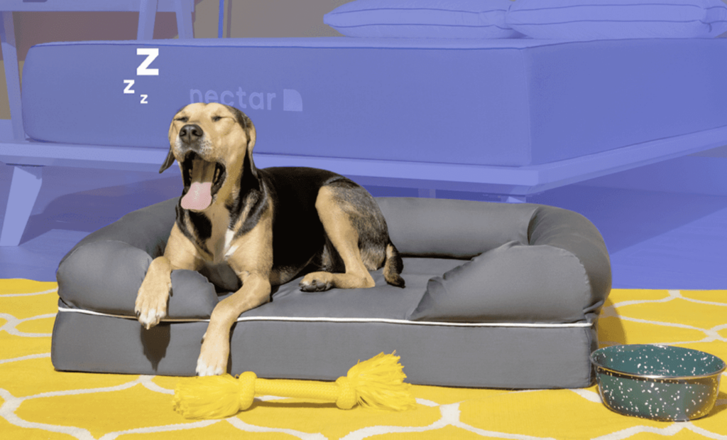 product image of the Nectar Dog Bed