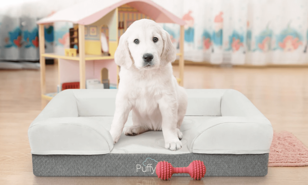product image of the Puffy Dog Bed