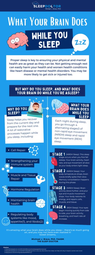 Infographic about what your brain does during sleep.