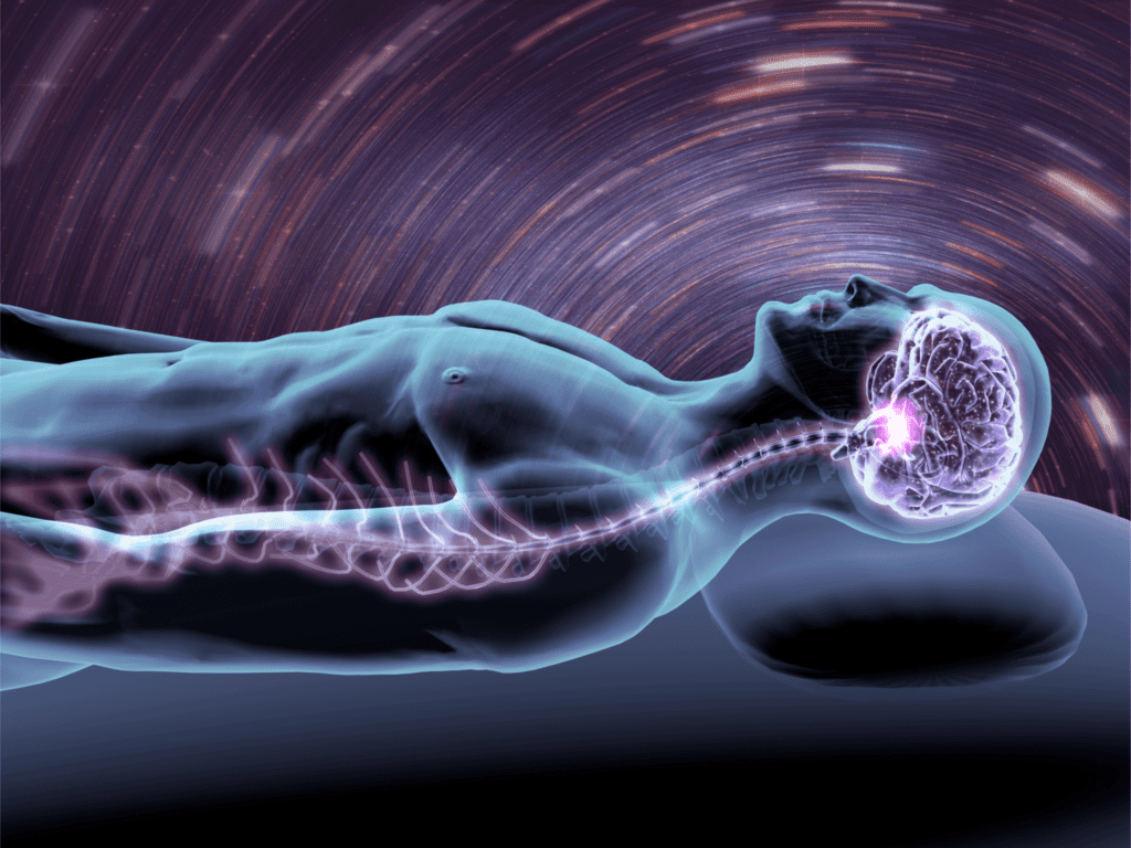 Image thumbnail for Blog Post: The Science of Sleep: What Your Brain Does While You Sleep