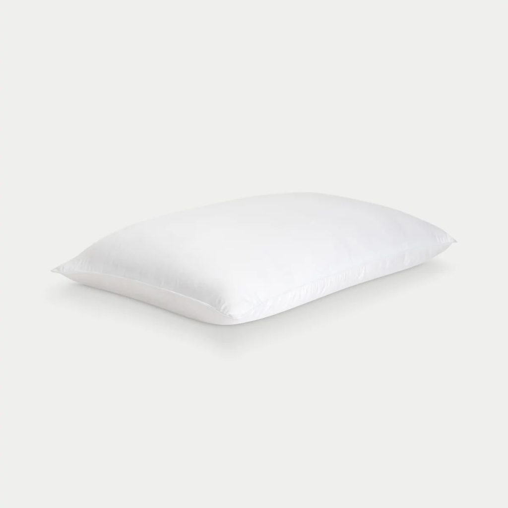 product image of the Cozy Earth Silk Pillow